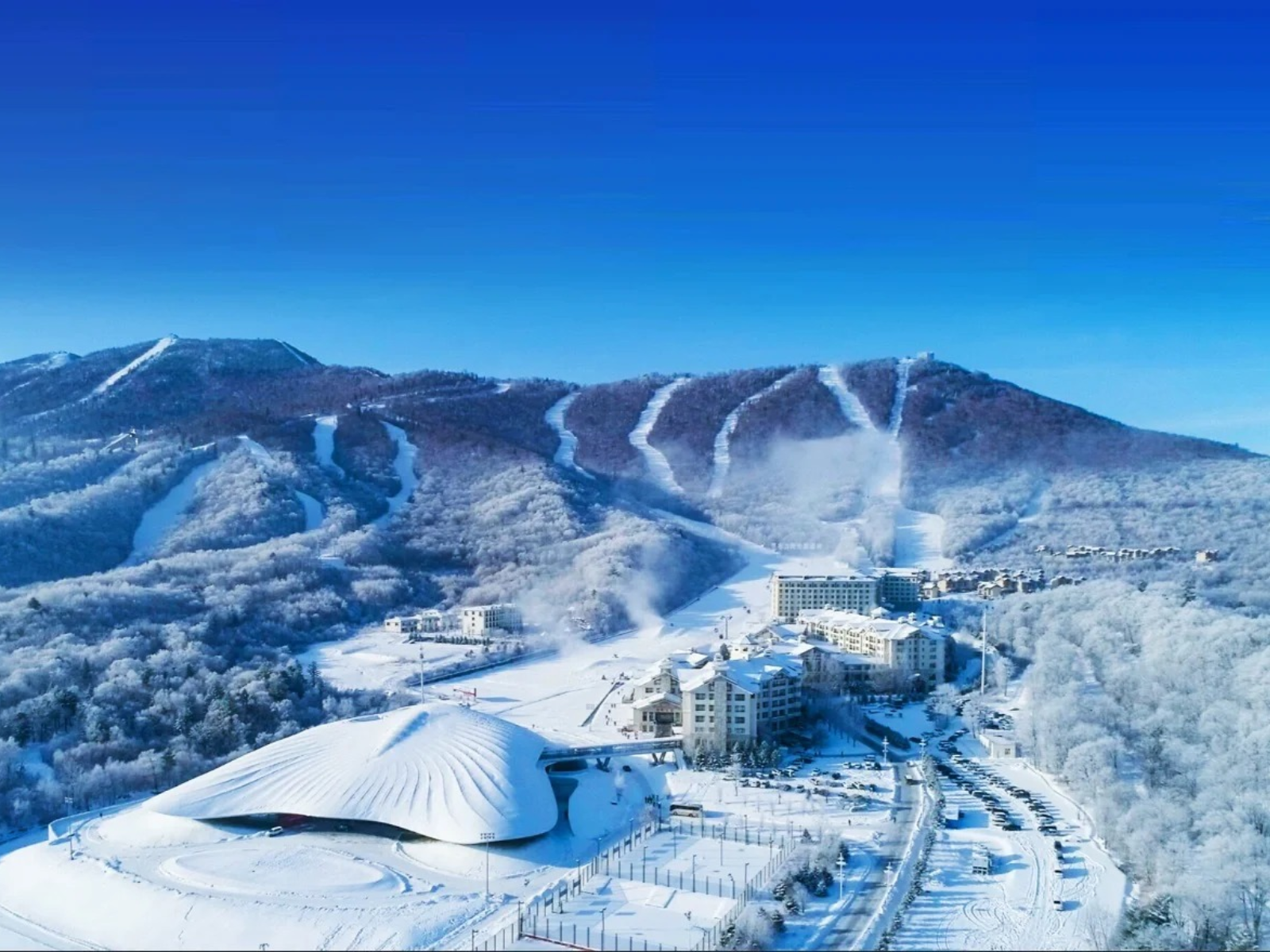 Kinh nghiệm đi tour du lịch Cáp Nhĩ Tân