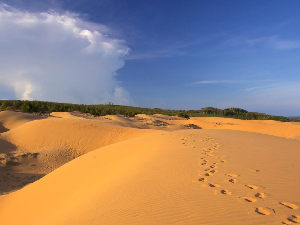 Địa điểm tổ chức team building và gala dinner Mũi Né lý tưởng nhất