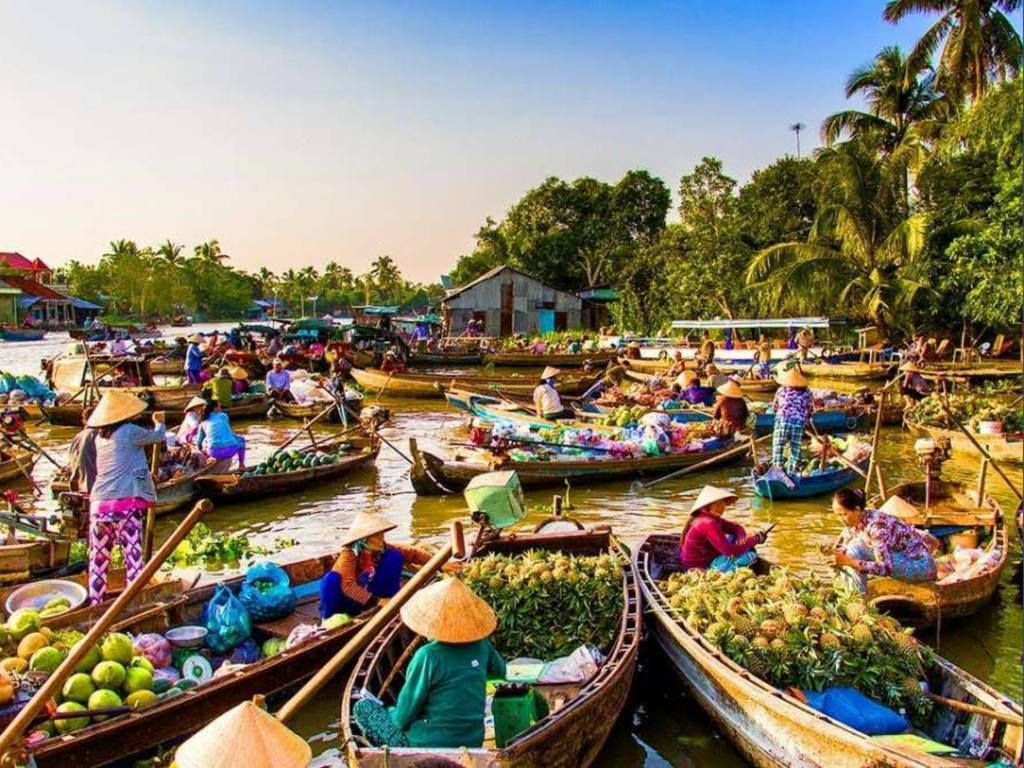 kinh-nghiem-di-tour-mien-tay-1-ngay