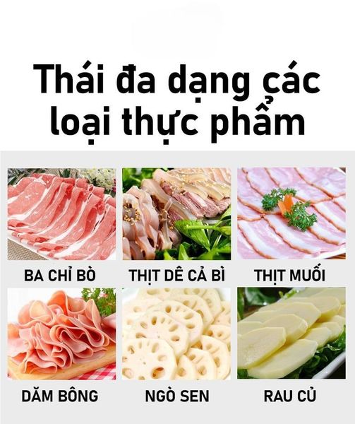 máy thái thịt es 250