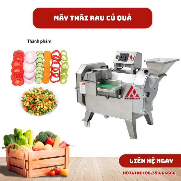 Máy thái rau củ quả đa năng