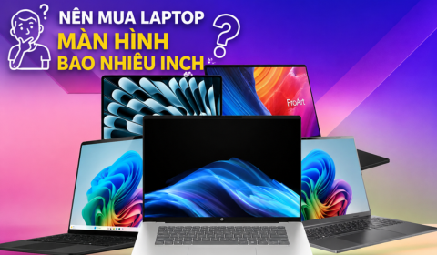 Nên mua laptop màn hình bao nhiêu inch? Cách chọn đúng theo nhu cầu