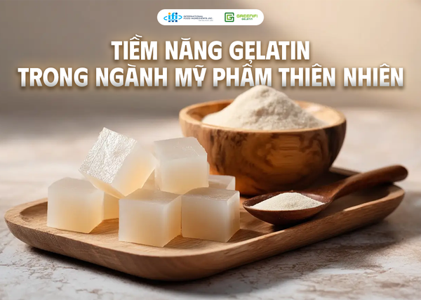 Tiềm Năng Của Gelatin Trong Ngành Mỹ Phẩm Thiên Nhiên
