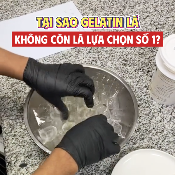 GELATIN LÁ VS GELATIN BỘT: ĐÂU LÀ LỰA CHỌN TỐI ƯU CHO MỌI CĂN BẾP?