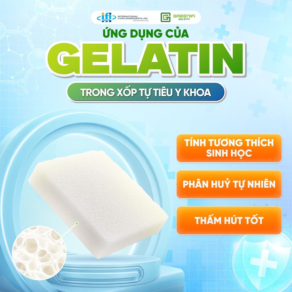 XỐP CẦM MÁU GELATIN LÀ GÌ? CƠ CHẾ VÀ ỨNG DỤNG TRONG Y KHOA