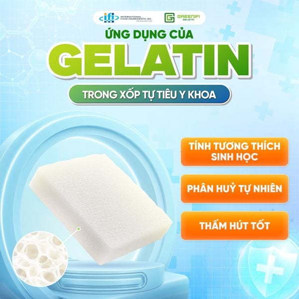 XỐP CẦM MÁU GELATIN LÀ GÌ? CƠ CHẾ VÀ ỨNG DỤNG TRONG Y KHOA