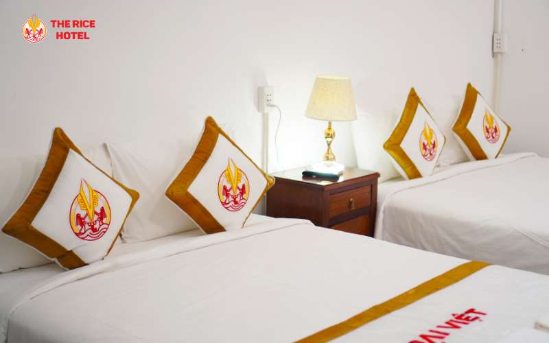 Hotel Saigon Mới Khai Trương Tại Phố Tây – The Rice Rừng Núi 188–190 Bùi Viện
