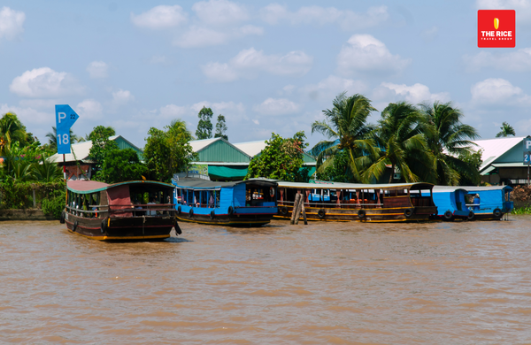 Liên hệ ngay cho The Rice Travel Group để được trải nghiệm miền Tây sông nước ngay hôm nay thôi nào!