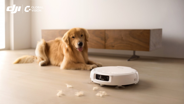 Đánh giá DJI ROMO: Robot hút bụi “chân ái” cho nhà nuôi thú cưng, sạch lông 99%