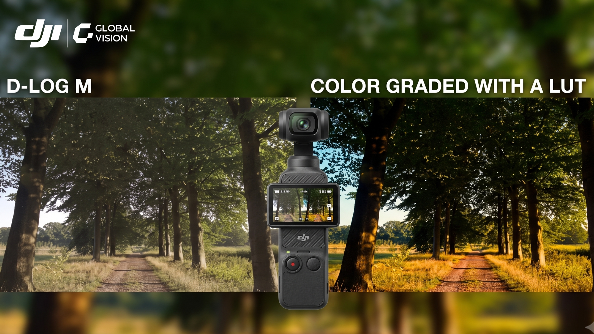 Đừng lãng phí D-Log: Hướng dẫn Color Grading chuyên sâu cho DJI Osmo Pocket