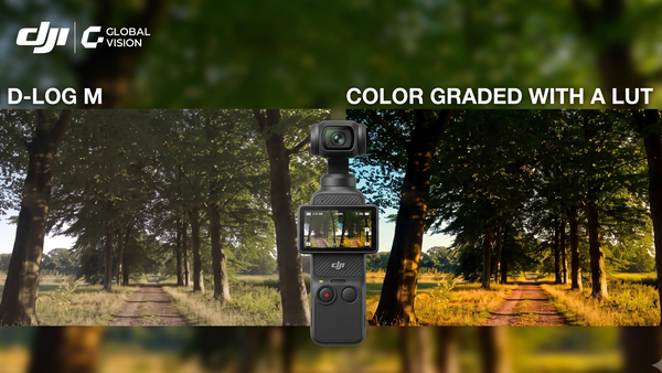 Đừng lãng phí D-Log: Hướng dẫn Color Grading chuyên sâu cho DJI Osmo Pocket