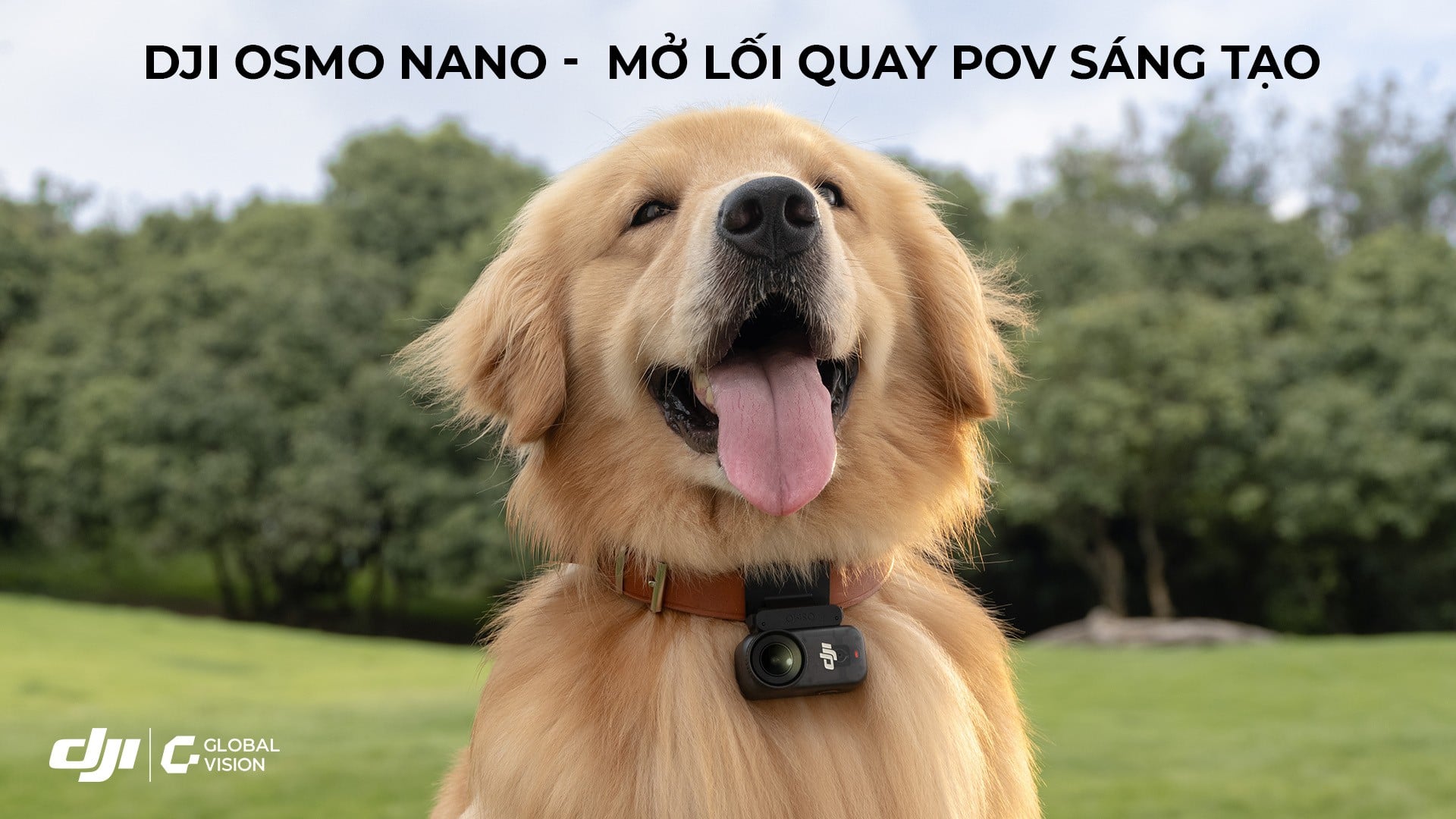 DJI Osmo Nano – Mở lối quay POV sáng tạo