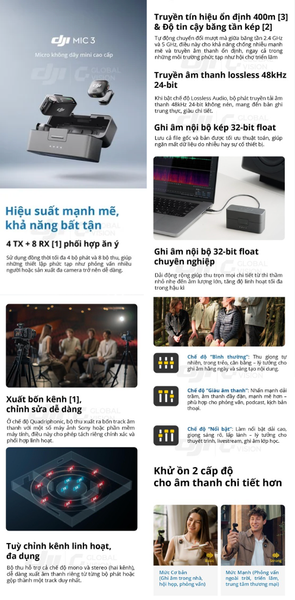Mic 3