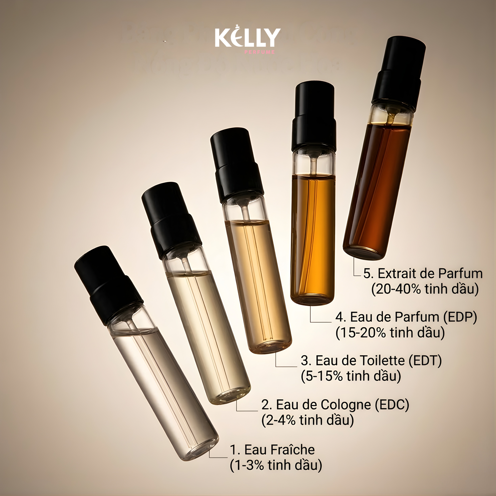 Nồng Độ Nước Hoa Là Gì? Phân Biệt EDP, EDT, EDC Và Parfum Chi Tiết
