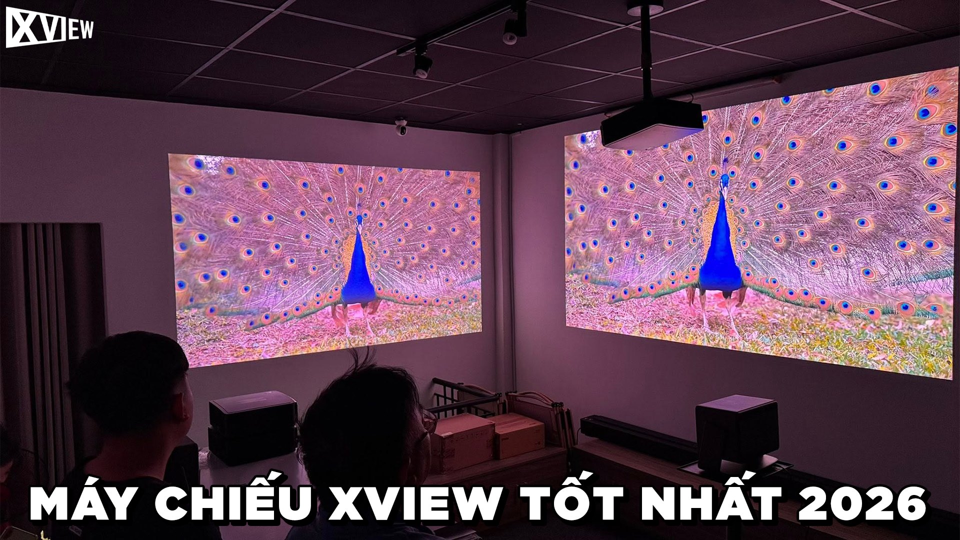 Xview MÁY CHIẾU XVIEW TỐT NHẤT 2026 – XVIEW VIỆT NAM