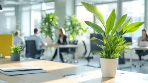 BIẾN GÓC LÀM VIỆC THÀNH 