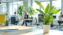 BIẾN GÓC LÀM VIỆC THÀNH 