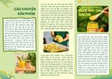 Câu chuyện sản phẩm NGHỆ MẬT ONG SACHI