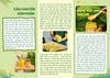 Câu chuyện sản phẩm NGHỆ MẬT ONG SACHI