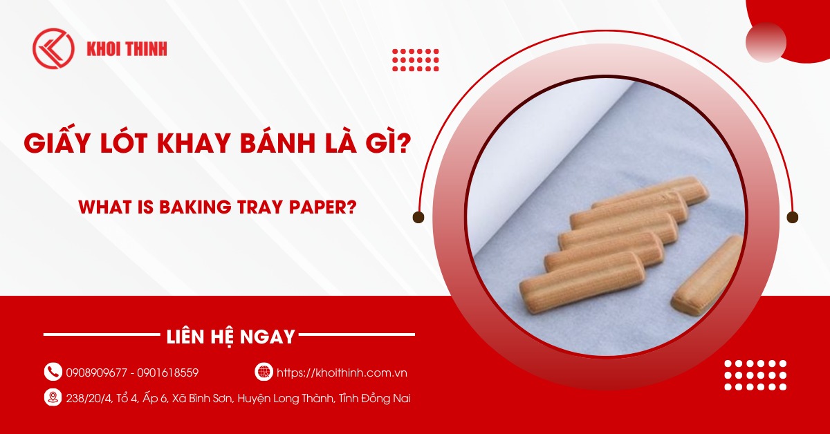 Giấy lót khay bánh là gì? Các loại giấy được sử dụng phổ biến trong nấu ăn