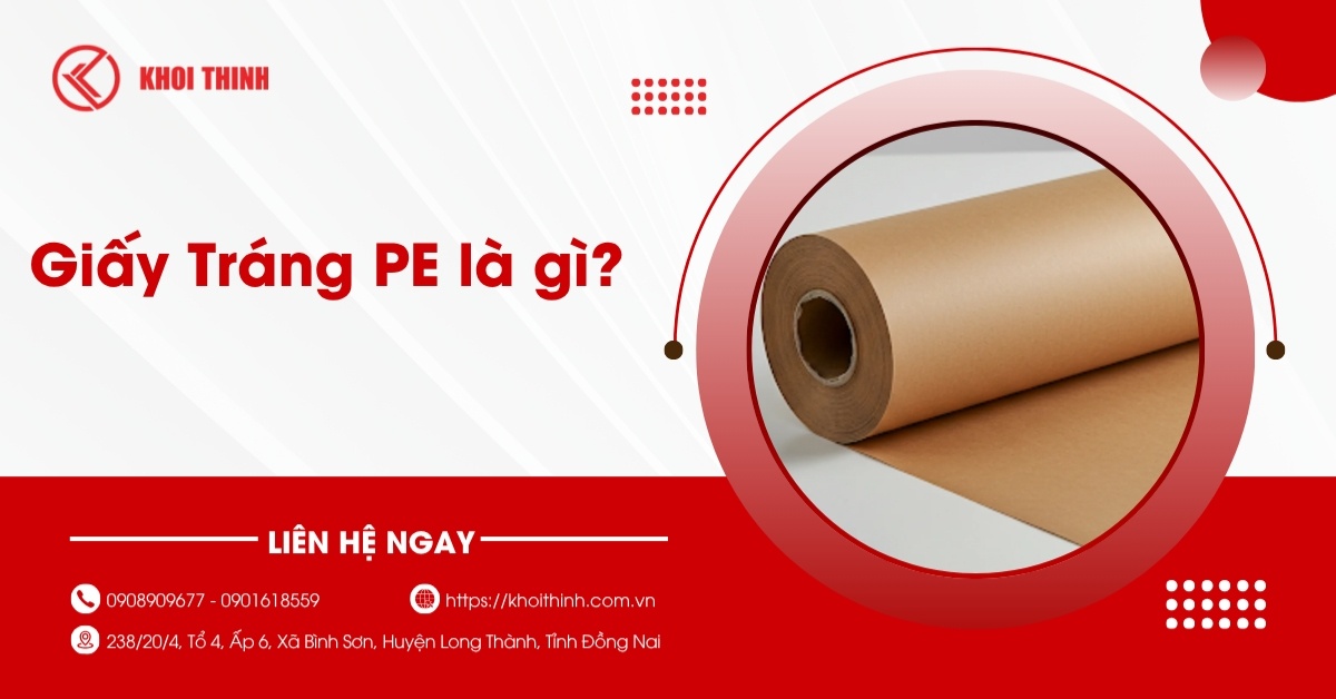 Giấy Tráng PE là gì? Mọi điều cần biết về giấy chống thấm