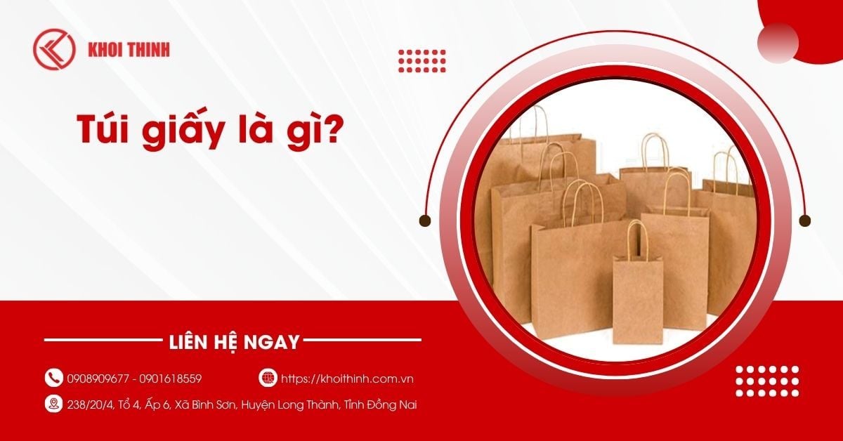 Túi giấy là gì? Cấu tạo, chất liệu và các loại phổ biến