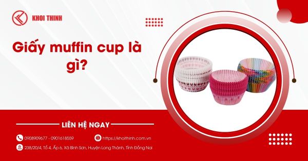 Giấy muffin cup là gì? Công dụng và cách phân biệt các loại