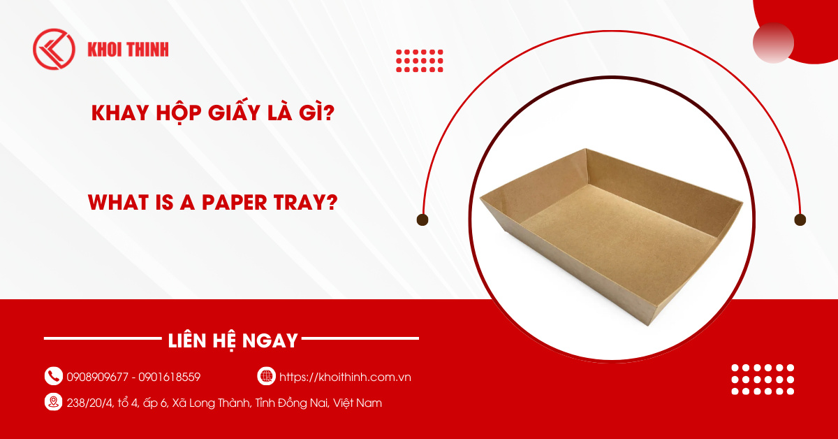 Khay hộp giấy là gì? Phân loại, ưu điểm và ứng dụng thực tế