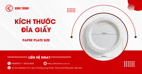 Kích thước đĩa giấy bao nhiêu cm? Gợi ý chọn đúng theo từng món ăn