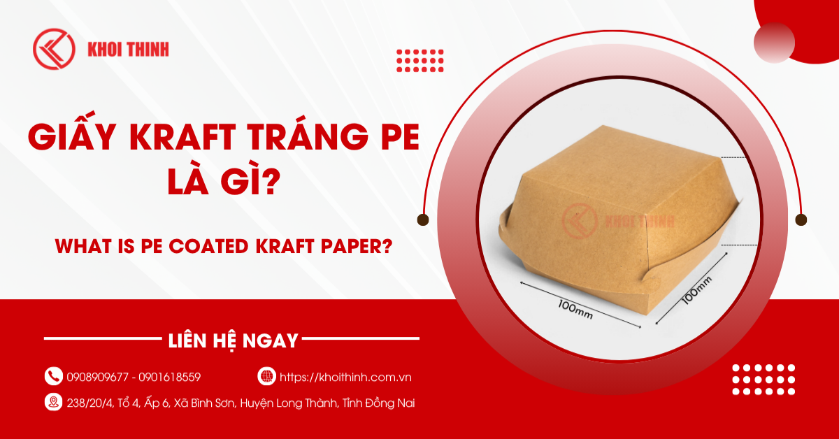 Giấy Kraft tráng PE là gì? Cấu tạo, ưu điểm và ứng dụng thực tế