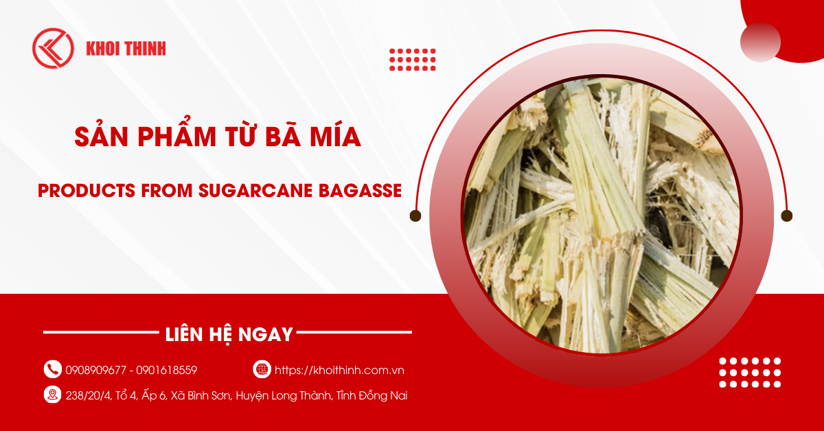 Sản phẩm từ bã mía: Giải pháp xanh thay thế nhựa hiệu quả