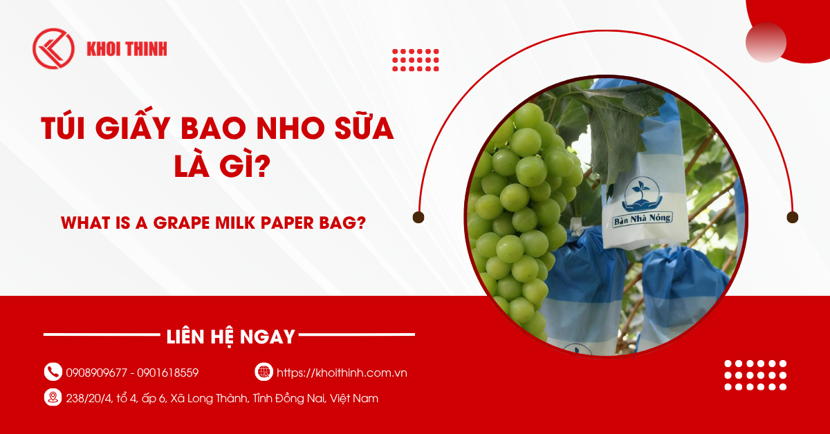 Túi giấy bao nho sữa là gì? Công dụng và cách sử dụng hiệu quả nhất
