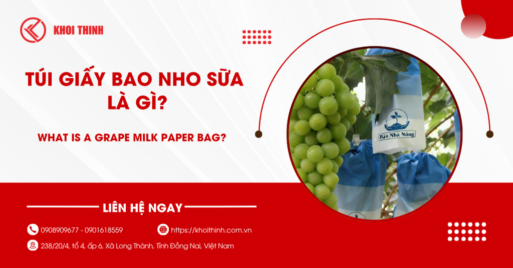 Túi giấy bao nho sữa là gì? Công dụng và cách sử dụng hiệu quả nhất