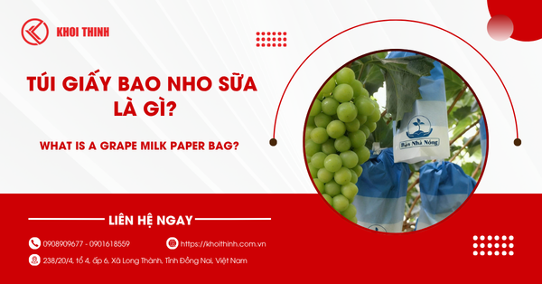 Túi giấy bao nho sữa là gì? Công dụng và cách sử dụng hiệu quả nhất