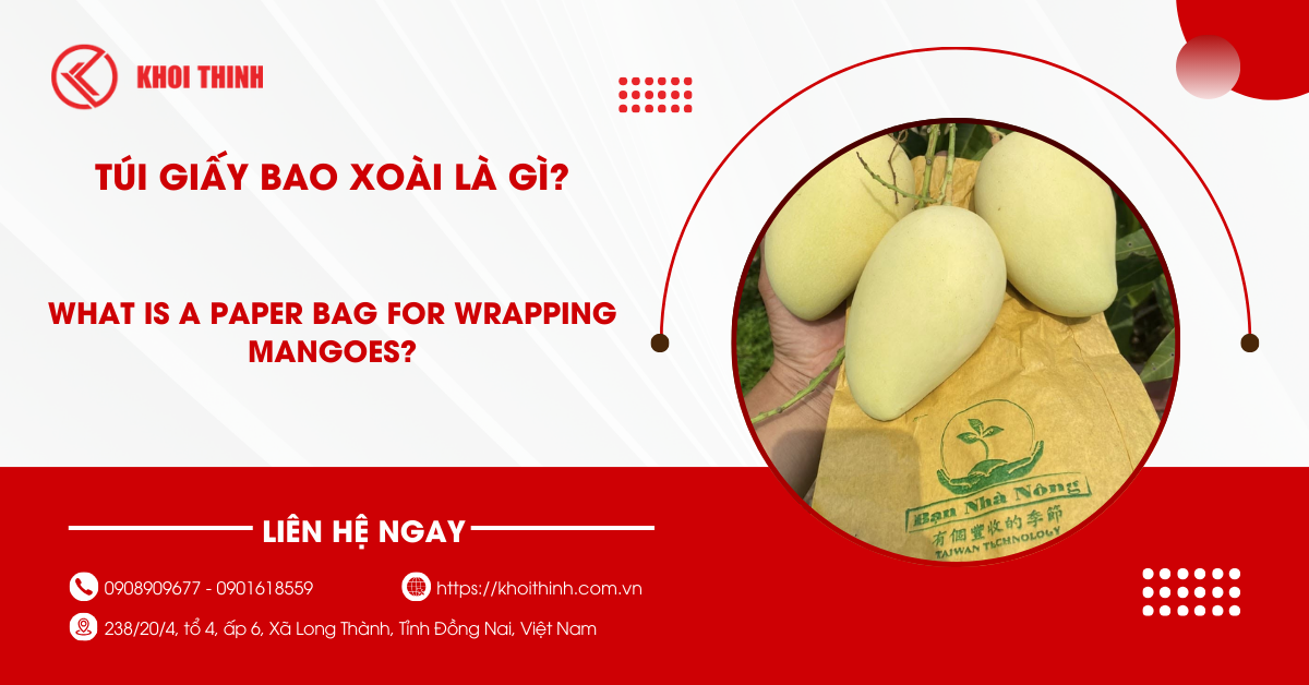 Túi giấy bao xoài là gì? Lợi ích và tiêu chí chọn mua chuẩn nhà vườn