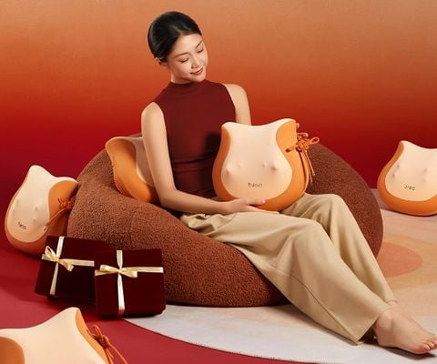 Quà biếu đối tác & người thân: Gối massage “Tài – Lộc” Breo Back 2F