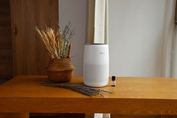 Mùa hè nóng bức và khí bụi, làm thế nào để cải thiện ô nhiễm không khí?