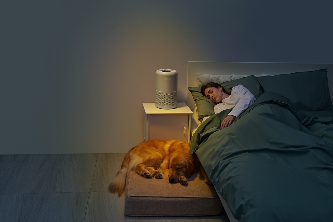 Giấc ngủ ngon hơn nhờ máy lọc không khí – Bí quyết cho dân văn phòng & người bận rộn