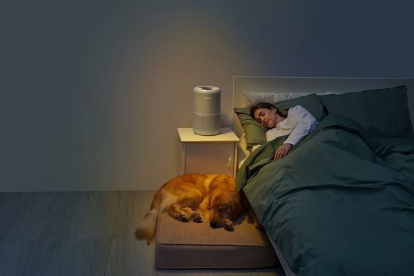 Giấc ngủ ngon hơn nhờ máy lọc không khí – Bí quyết cho dân văn phòng & người bận rộn