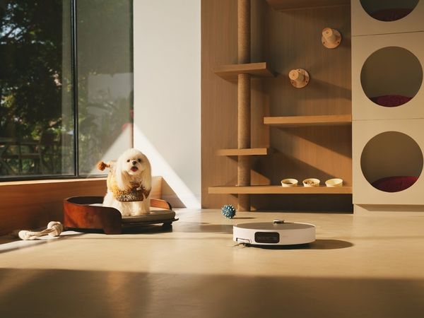 Có nên trải nghiệm robot hút bụi trước khi chọn mua?