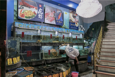 Vì sao thực phẩm đông lạnh khó được chấp nhận tại Trung Quốc