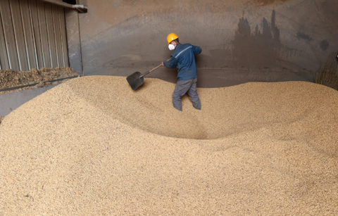 Cuộc chiến thuế quan Mỹ - Trung và nguy cơ mới với rừng nhiệt đới Brazil