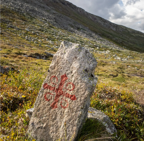 Hành trình hành hương tại Na Uy: Quả mọng, đầm lầy và vị vua Viking