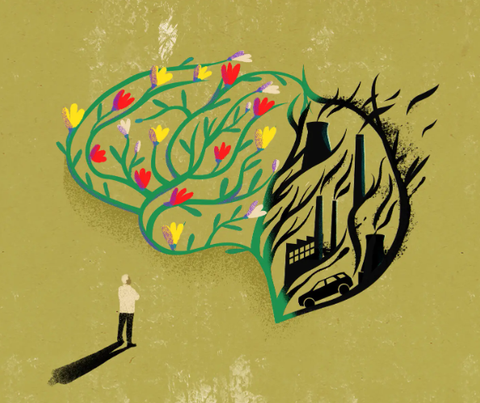 Không Khí Bạn Hít Thở Đang Làm Gì Với Bộ Não Của Bạn?