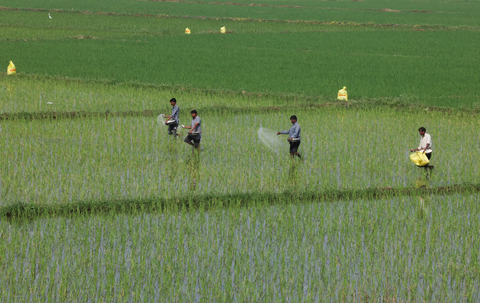 Chiến tranh Trung Đông đe dọa mùa màng toàn cầu
