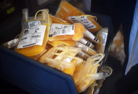 Hiến huyết tương có an toàn không?