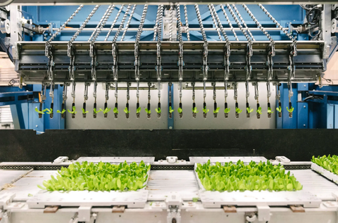 Đèn LED không thắng nổi mặt trời