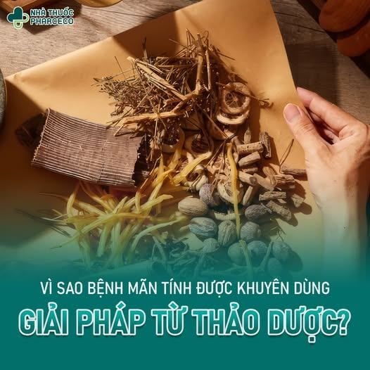 BỆNH MÃN TÍNH – THÁCH THỨC SỨC KHỎE TRONG NHỊP SỐNG HIỆN ĐẠI