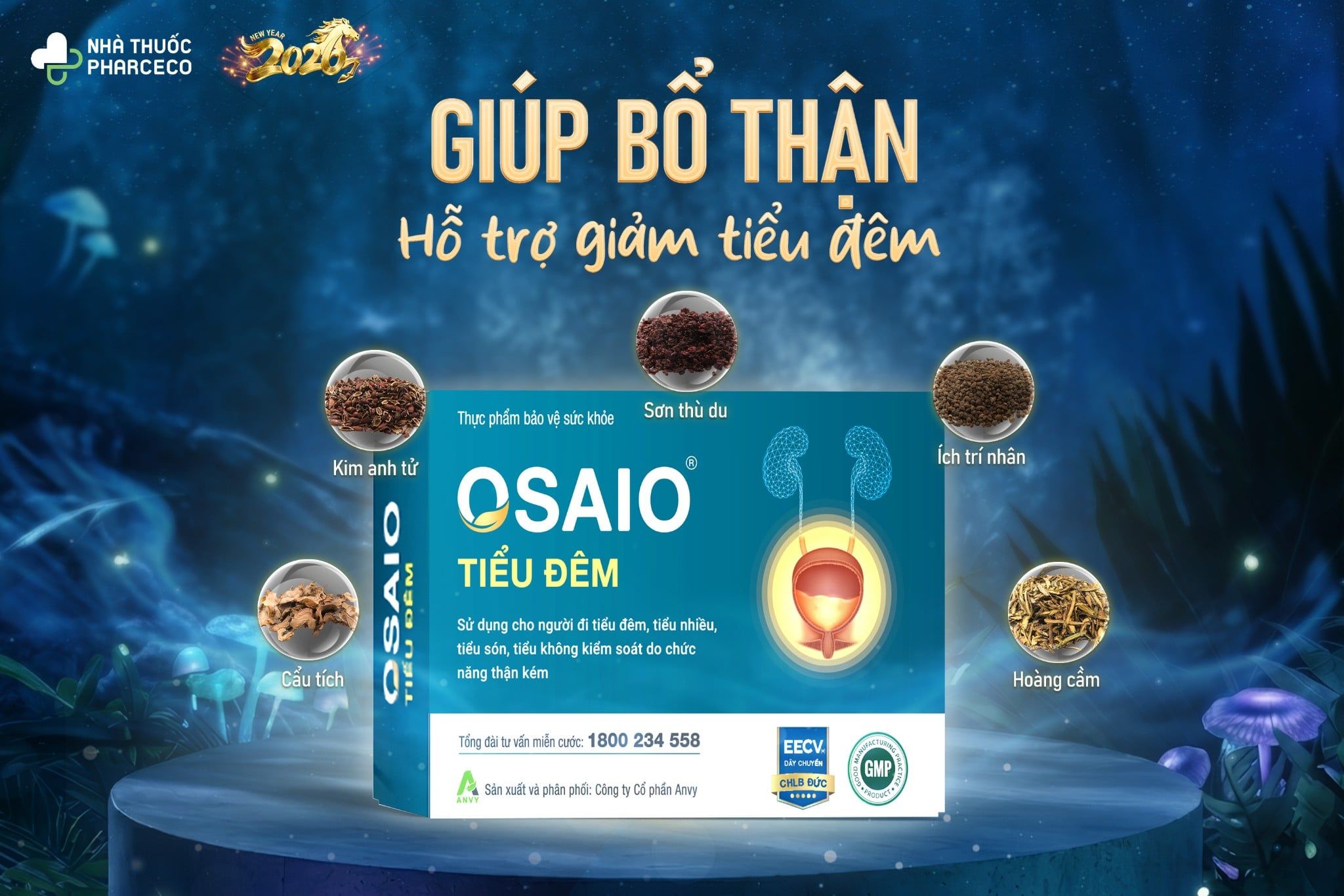 Bổ thận, giảm tiểu đêm