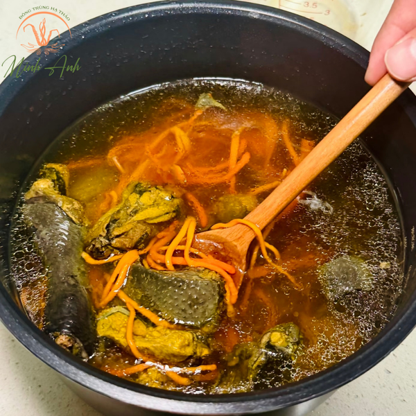 Canh gà ác nấu đông trùng hạ thảo